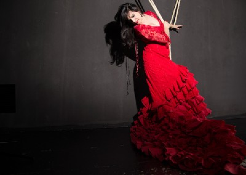 escuela de danza celia pareja